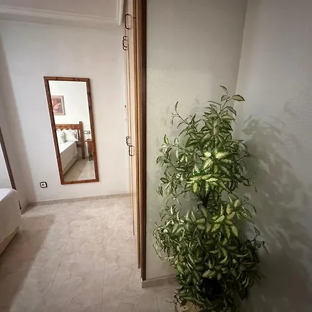 Apartment Homely Habaneras